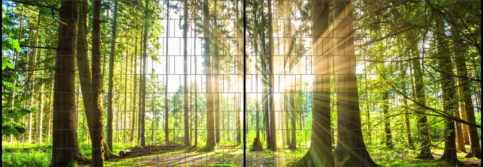 Wald - Panorama XL bedruckte Sichtschutzstreifen für Doppelstabmattenzaun